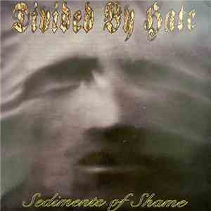 Divided By Hate - Sediments Of Shame