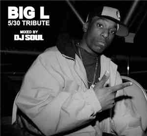 DJ Soul  - Big L (5/30 Tribute)