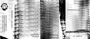 Kromeshna - Grey Diptych