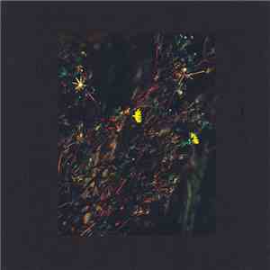 Dark Sky  - The Passenger / The Walker (Roman Flügel Remix)
