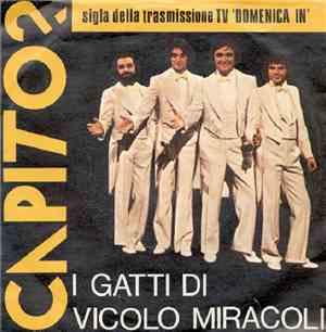 I Gatti Di Vicolo Miracoli - Capito?