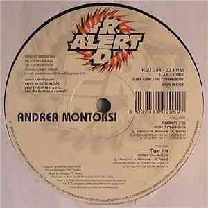 Andrea Montorsi - Anthem