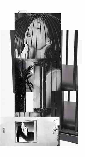 Satin Aviary - Satin Aviary