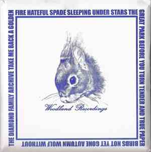 The Diamond Family Archive / The Great Park - Woodland Recordings