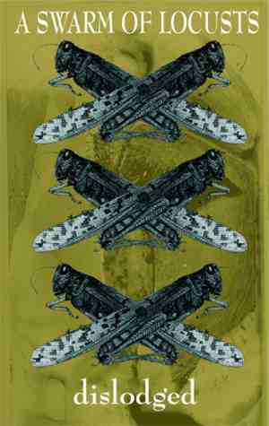 A Swarm Of Locusts - Dislodged