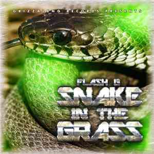 Flash G  - Snake In The Grass E​.​P