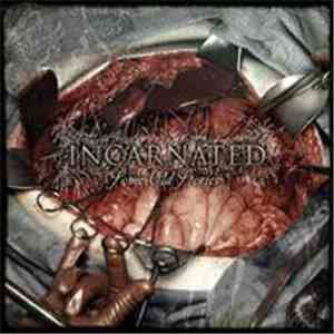 Incarnated - Some Old Stories