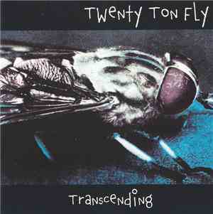 Twenty Ton Fly - Transcending