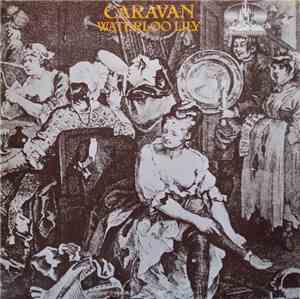 Caravan - Waterloo Lily
