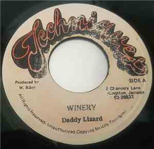 Daddy Lizard - Winery