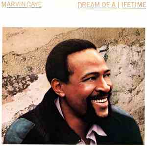 Marvin Gaye - Dream Of A Lifetime