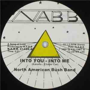 North American Bush Band - Into You - Into Me / N.A.B.B.