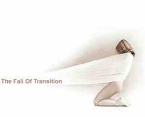 Fall Of Transition - Fall Of Transition