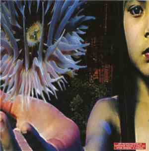 The Future Sound Of London - Lifeforms