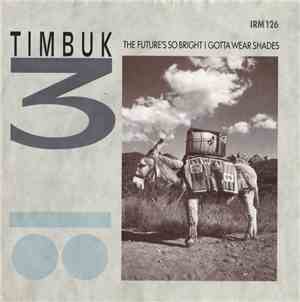 Timbuk 3 - The Future's So Bright I Gotta Wear Shades