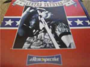 Lynyrd Skynyrd - A Retrospective