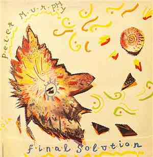 Peter Murphy - Final Solution