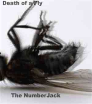 The NumberJack - Death Of A Fly