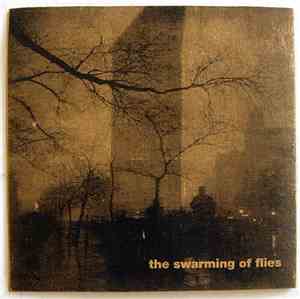 The Swarming Of Flies - Untitled