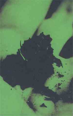 Tinemo Abbora / Ego Death - Spalttonband #5