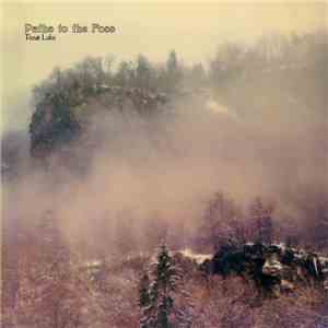 Tissø Lake - Paths To The Foss