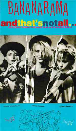 Bananarama - And That's Not All... (Hanging 'Round His Neck Was A Big Black Ball)
