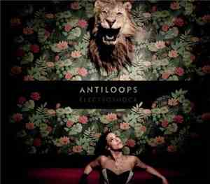 Antiloops - Electroshock
