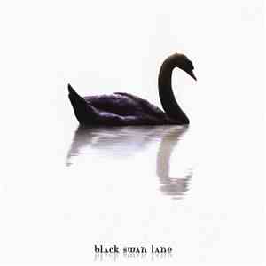 Black Swan Lane - A Long Way From Home