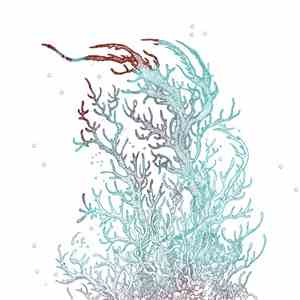 Aquarelle  - Interrupted Forms