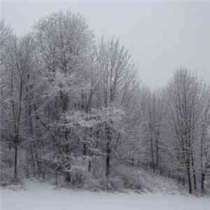 Castleview - Winter