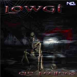 Lowgi - Old Feelings