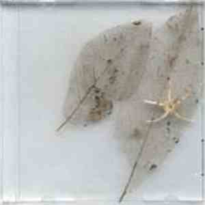 Artificial Memory Trace - Tactilum