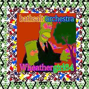 Bathsalt Orchestra / Wheathergirl64 - Eloy De Layglesia