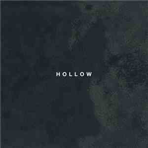 Desperate Journalist - Hollow