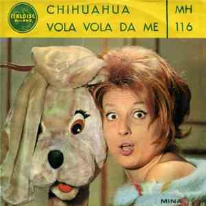 Mina  - Chihuahua / Vola Vola Da Me
