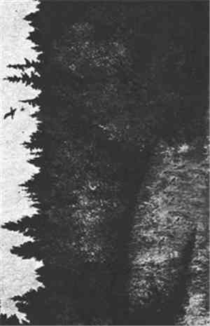 Til Det Bergens Skyggene - Vandringen I (Skoglandskap)