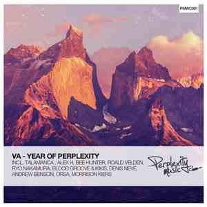 VA - Year Of Perplexity