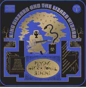 King Gizzard And The Lizard Wizard - Flying Microtonal Banana