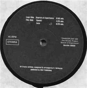 The Noodle Project - Search Of Experience