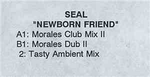 Seal - Newborn Friend