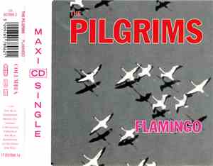 The Pilgrims - Flamingo