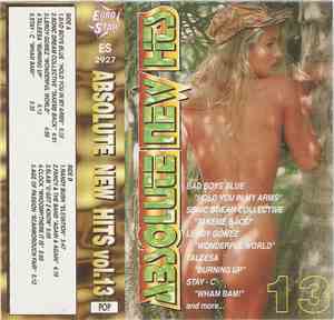 Various - Absolute New Hits Vol.13