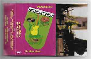 Adrian Belew - Mr. Music Head