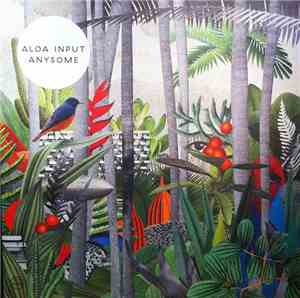 Aloa Input - Anysome
