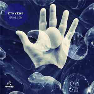 Ethyène - Quallen
