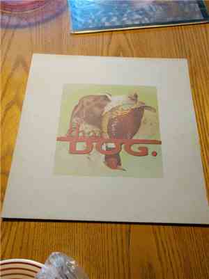 that dog. - that dog.