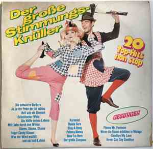 Unknown Artist - Der Große Stimmungsknüller - 20 Top-Hits Non Stop