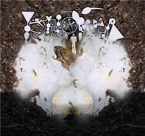 Phyllomedusa - The Foam Nest(s)