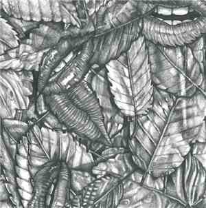 Embers  - Kout EP