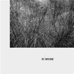 PLY  - Sans Cesse